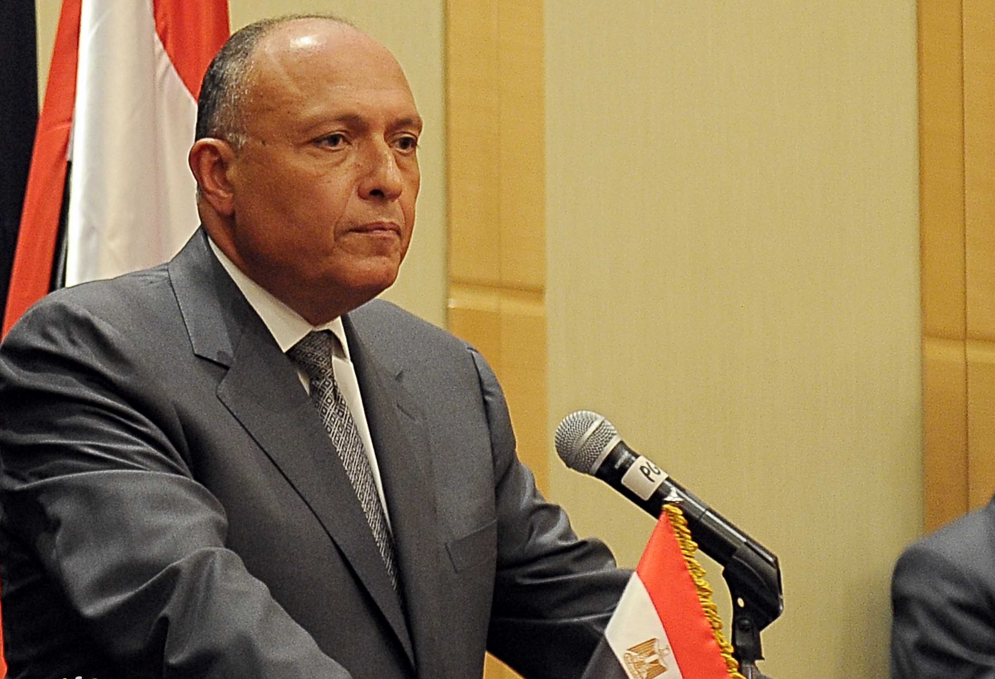 وزير الخارجية المصري “شكري” ينقل رسائل رئاسية لـ 6 دول عربية حول لبنان