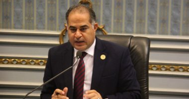وكيل البرلمان عن استعادة هشام عشماوى: مصر ستعاقب كل من أراق دم أبنائها