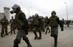 قوات الاحتلال الإسرائيلي تقتحم قسم 13 بسجن النقب وتعزل 5 أسرى