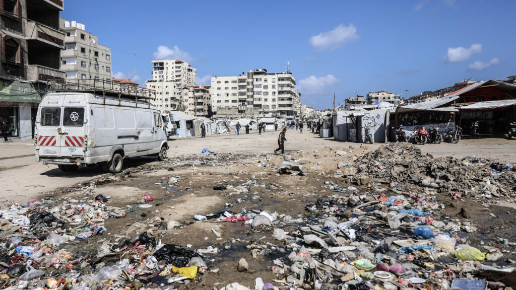 القوارض والحشرات تفاقم معاناة النازحين في غزة