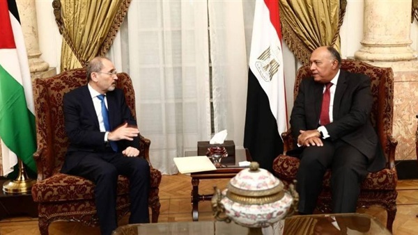 وزيرا الخارجية المصري والأردني يبحثان الحفاظ على سيادة سوريا