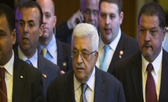 هل أصبحت فلسطين عزبة لأبناء عباس؟