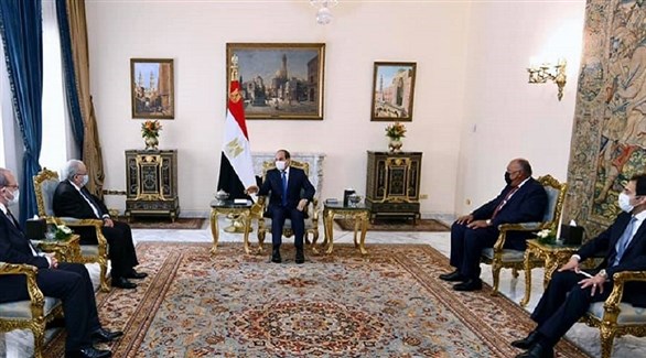 مصر والجزائر: دعم كامل للرئيس التونسي