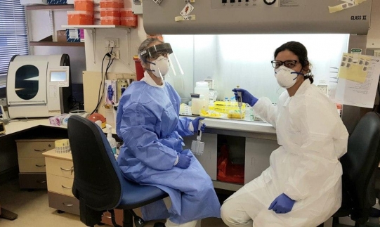 الصحة الإسرائيلية توقف فحص “كورونا” بسبب خلل في “عيدان” سحب العينات