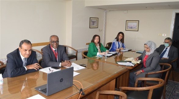 مصر: الدور التركي في ليبيا يهدد استقرار وأمن المنطقة