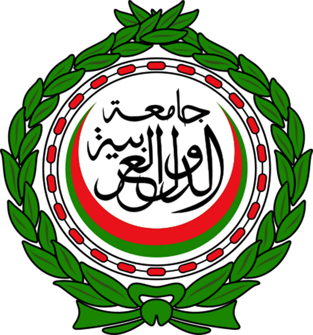 الجامعة العربية وفنلندا تبحثان حشد الدعم الدولي للقضية الفلسطينية