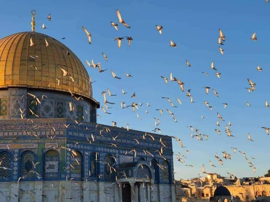 منظمة التعاون الإسلامي تثمن الجهود الأردنية في الدفاع عن القدس الشريف