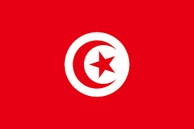 الحشاني رئيسا للحكومة التونسية