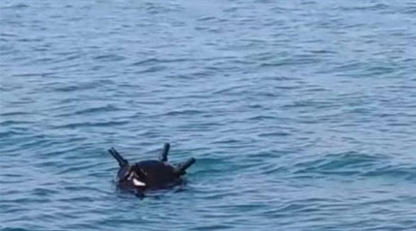 “تحالف دعم الشرعية في اليمن” يدمر 5 ألغام بحرية حوثية في البحر الأحمر