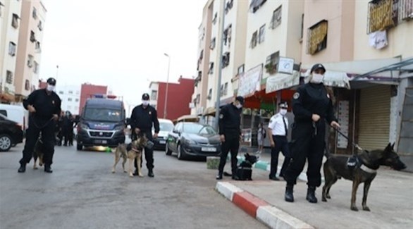الأمن المغربي يفكك خلية إرهابية ناشطة في 3 مدن