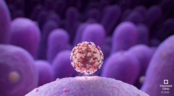 إصابات كورونا حول العالم تقترب من 27 مليوناً