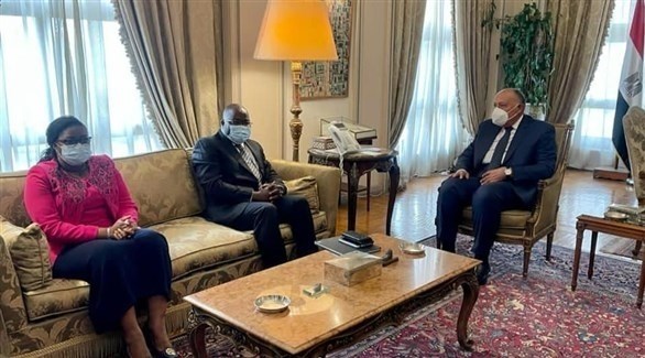 مصر وغينيا تبحثان مجابهة التنظيمات الإرهابية