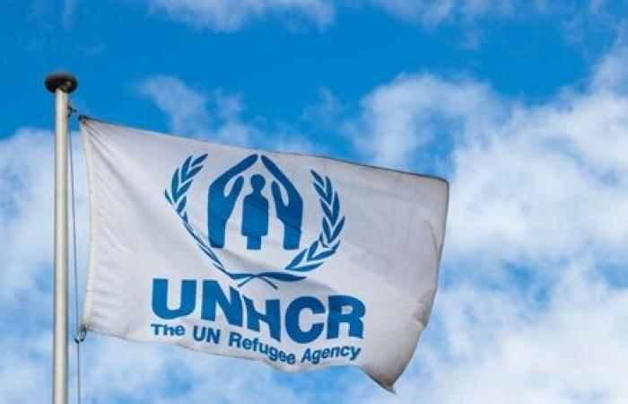مفوضية اللاجئين تدعو لجمع 186 مليون دولار لحماية الفارين فى منطقة الساحل الأفريقي