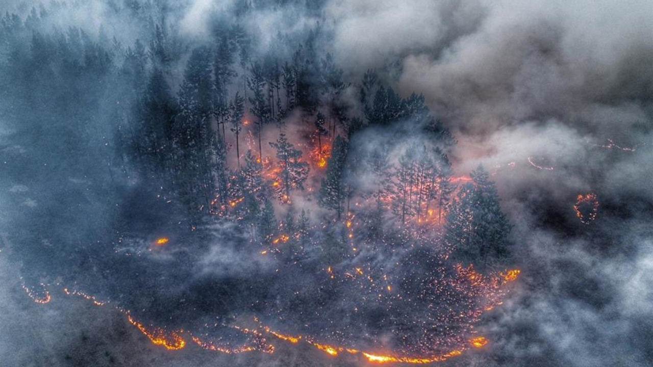 سيبيريا: تواصل حدة الحرائق مع تسجيل درجات حرارة قياسية