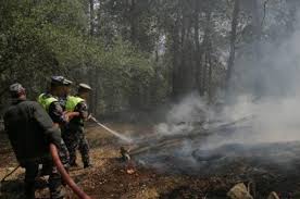 الدفاع المدني يخمد حريقا للأشجار الحرجية والمثمرة في العاصمة
