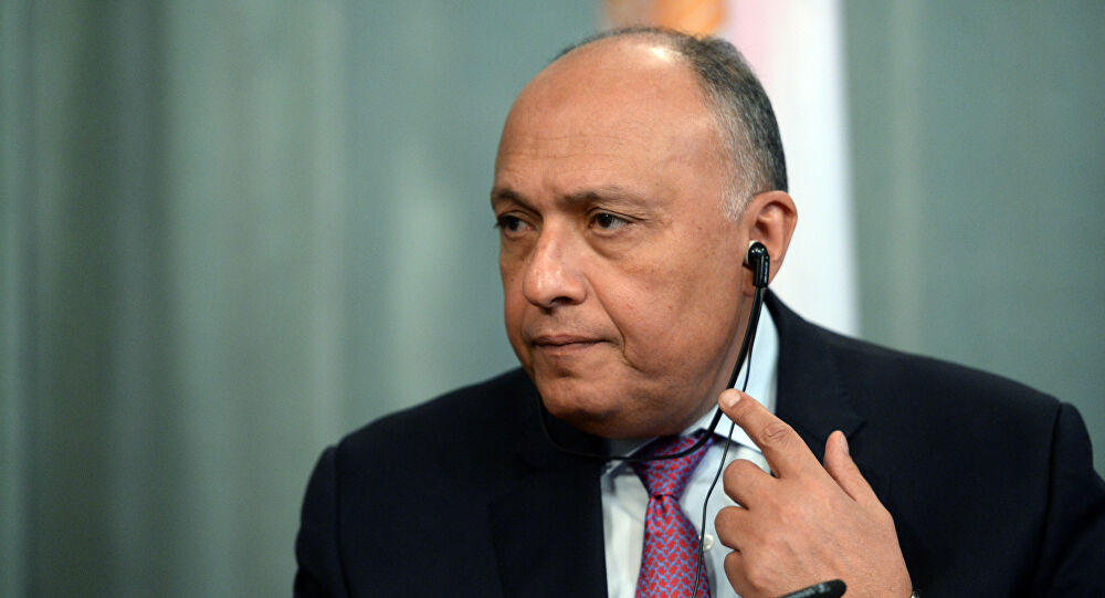 وزير الخارجية المصري: تركيا تجند وتنقل آلاف المقاتلين الأجانب من سوريا إلى ليبيا