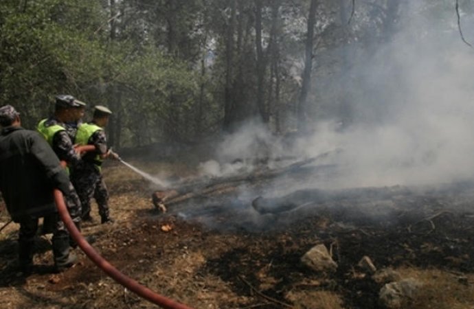 عجلون : الحرائق تهدد الغطاء النباتي والنظام البيئي
