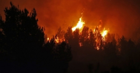 انهاء عمليات إخماد الحريق على امتداد الشريط الغوري