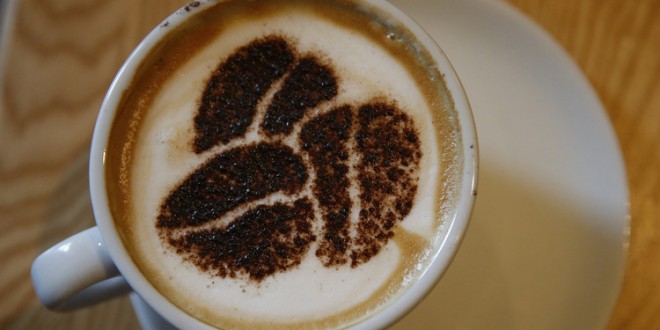 استهلاك الزوجين للكافيين يزيد من مخاطر الإجهاض