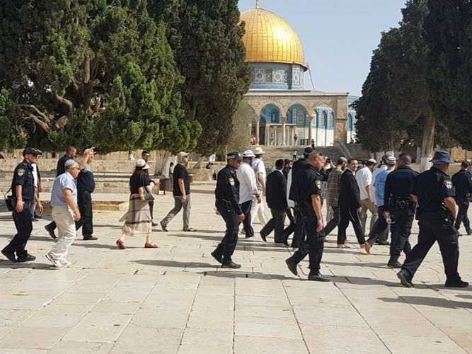 مستوطنون متطرفون يقتحمون المسجد الأقصى بحراسة شرطة الاحتلال