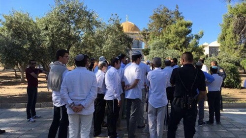 139 مستوطناً يقتحمون المسجد الاقصى بحراسات مشددة