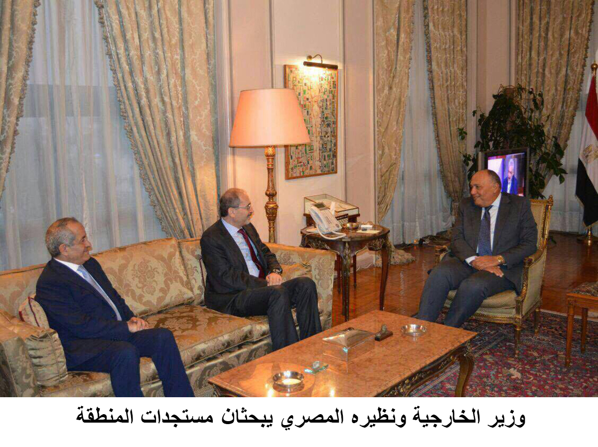 وزير الخارجية الأردني ونظيره المصري يبحثان مستجدات المنطقة