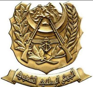 أول بيان للجيش الجزائري بعد استقالة بوتفليقة: تنفيذ المادة 102 هو الطريق لتجاوز الأزمة