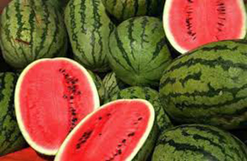 حماية المستهلك تدعو المواطنين لوقف شراء البطيخ