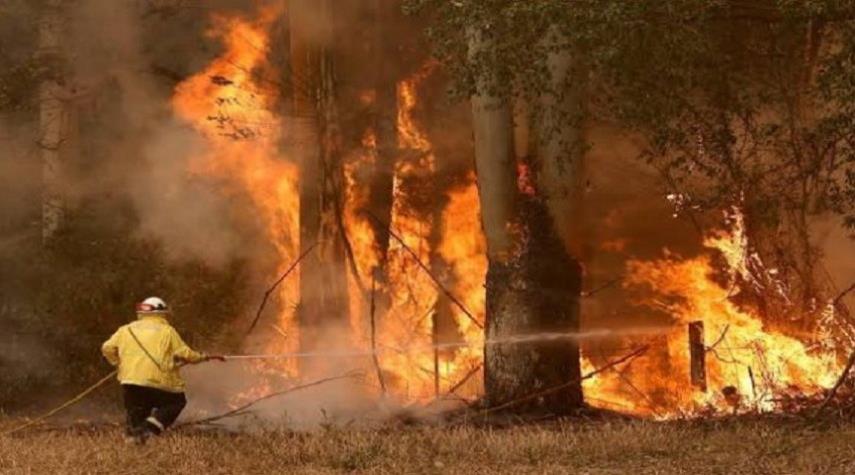 أستراليا: دوائر الإطفاء تعلن نجاحها في السيطره على الحرائق