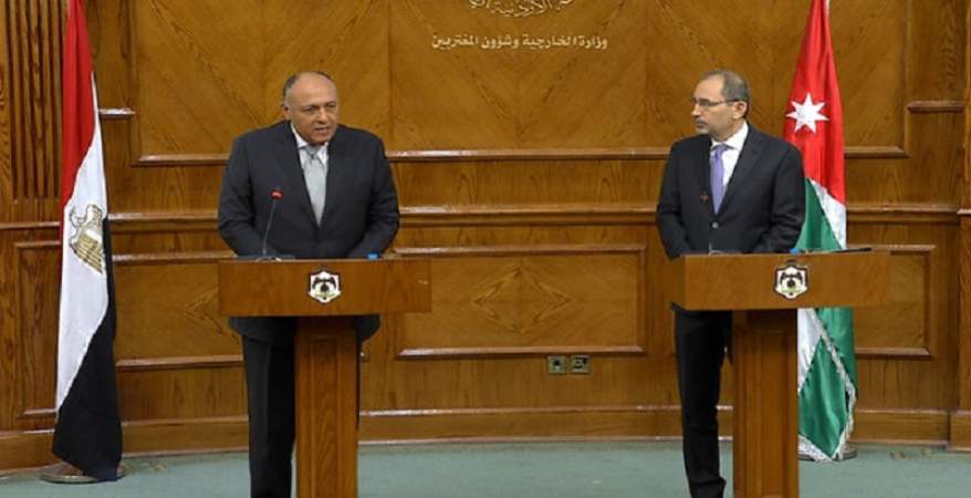 وزير الخارجية المصري شكري مع نظيره الأردني الصفدي يبحثان سبل توفير الدعم لـ”الأنروا”
