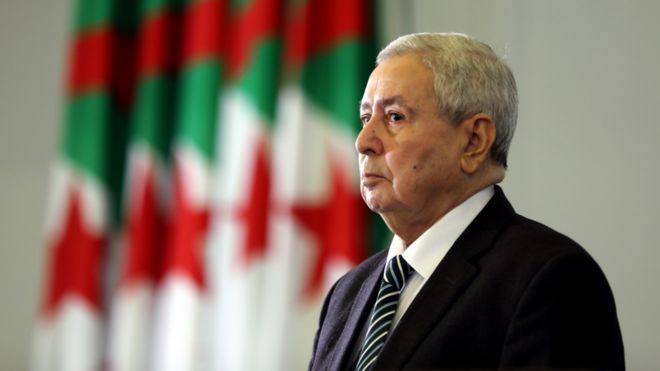 الرئيس الجزائري المؤقت: الانتخابات الرئاسية ليست فقط ضرورة حتمية بل وحلا دستوريا مستعجلا