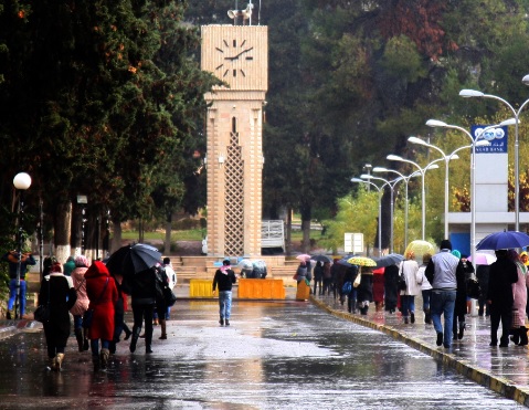 الجامعة الأردنية تُسجل أعلى مجموع مطري الشهر الماضي