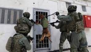 لجنة الأسرى تحذر من انتفاضة في السجون الإسرائيلية تحرق الأخضر واليابس