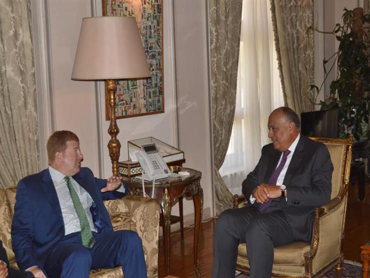 وزير الخارجية سامح شكري يستقبل نائب رئيس غرفة التجارة الأمريكية
