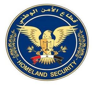 الأمن المصري حصل على الهيكل التنظيمي للجان الإخوانية المسلحة