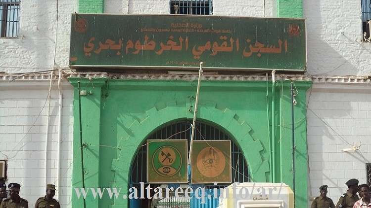 السيسي يوافق على إنشاء منطقة صناعية روسية في مصر