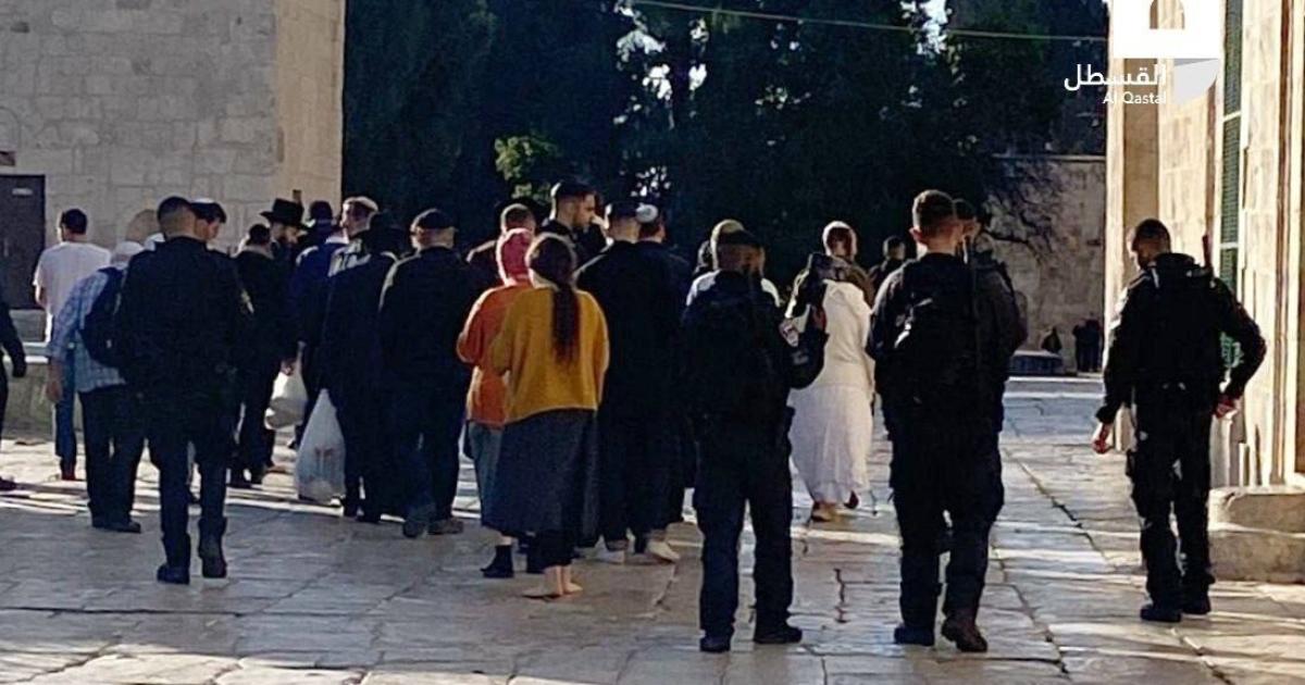 مستوطنون متطرفون يقتحمون المسجد الاقصى
