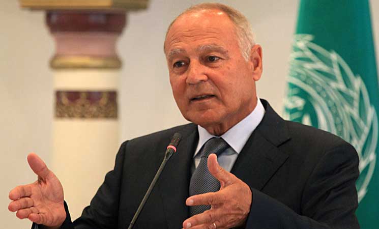 أبو الغيط: ندعم مسار الأمم المتحدة في جنيف لحل الأزمة السورية