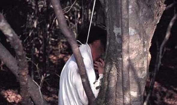 اربد: العثور على طفل مشنوقاً على شجرة في لواء بني كنانة