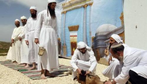 مستوطنون يستعدون لـ “ذبح القربان” في الأقصى الجمعة