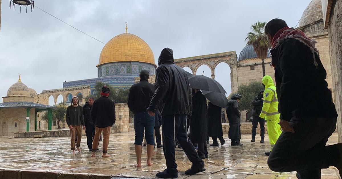 عشرات المستوطنين المتطرفين يقتحمون المسجد الاقصى