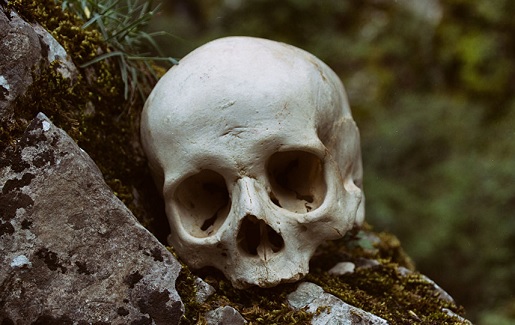 إثبات جريمة قتل في ألمانيا... بعد 33 ألف سنة من ارتكابها
