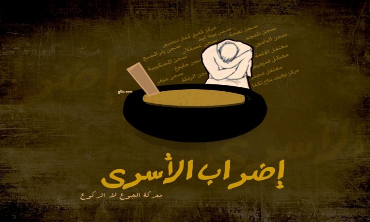إضراب الحرية والكرامة يدخل يومه السادس عشر وتواصل فعاليات التضامن في الداخل والخارج