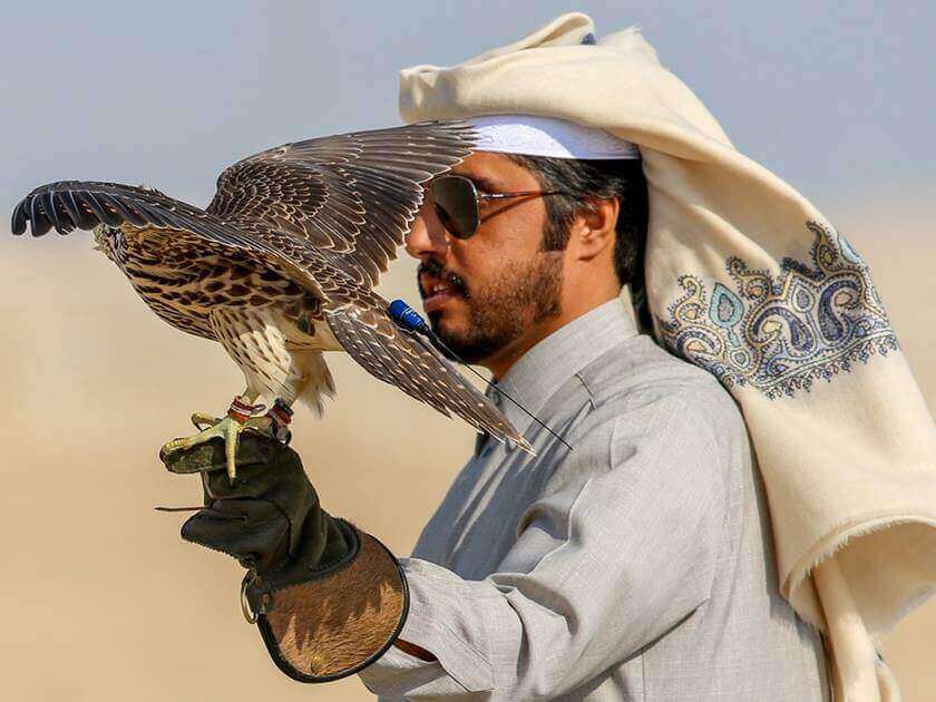انطلاق منافسات مهرجان قطر الدولي للصقور والصيد بمشاركة الأردن
