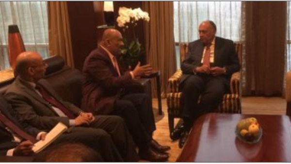 وزير الخارجية المصري يبحث مع نظيره اليمني تطورات الأوضاع
