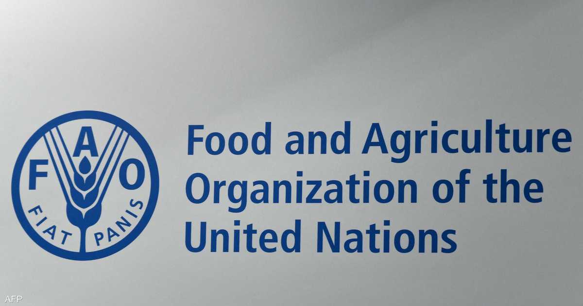 الفاو: أسعار الغذاء العالمية ارتفعت لمستوى قياسي في 2022