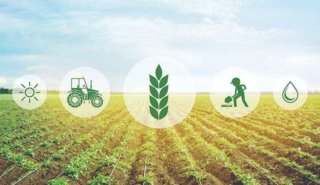 3 مشاريع ريادية أردنية تفوز ببرنامج “جسور” لدعم الشركات الزراعية