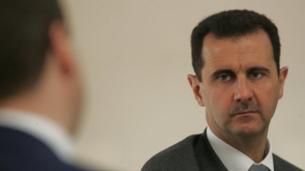 الأسد لا يخرج للهواء الطلق ويغير غرفة نومه كل ليلة