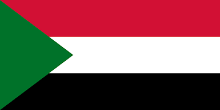 السودان: مبادرة وطنية تضمن عودة حمدوك لمنصبه والإفراج عن المعتقلين