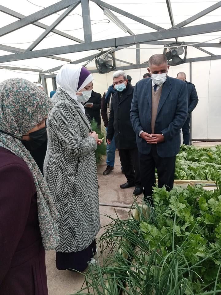 أمين عام التربية تتفقد أحد المشاريع الزراعية في مدارس مادبا